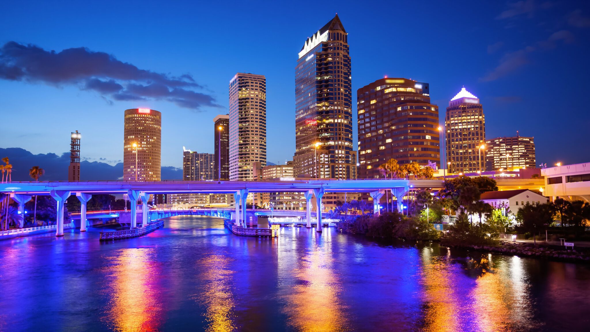 Elevate Your Property with Premier Landscape Lighting in Hillsborough County