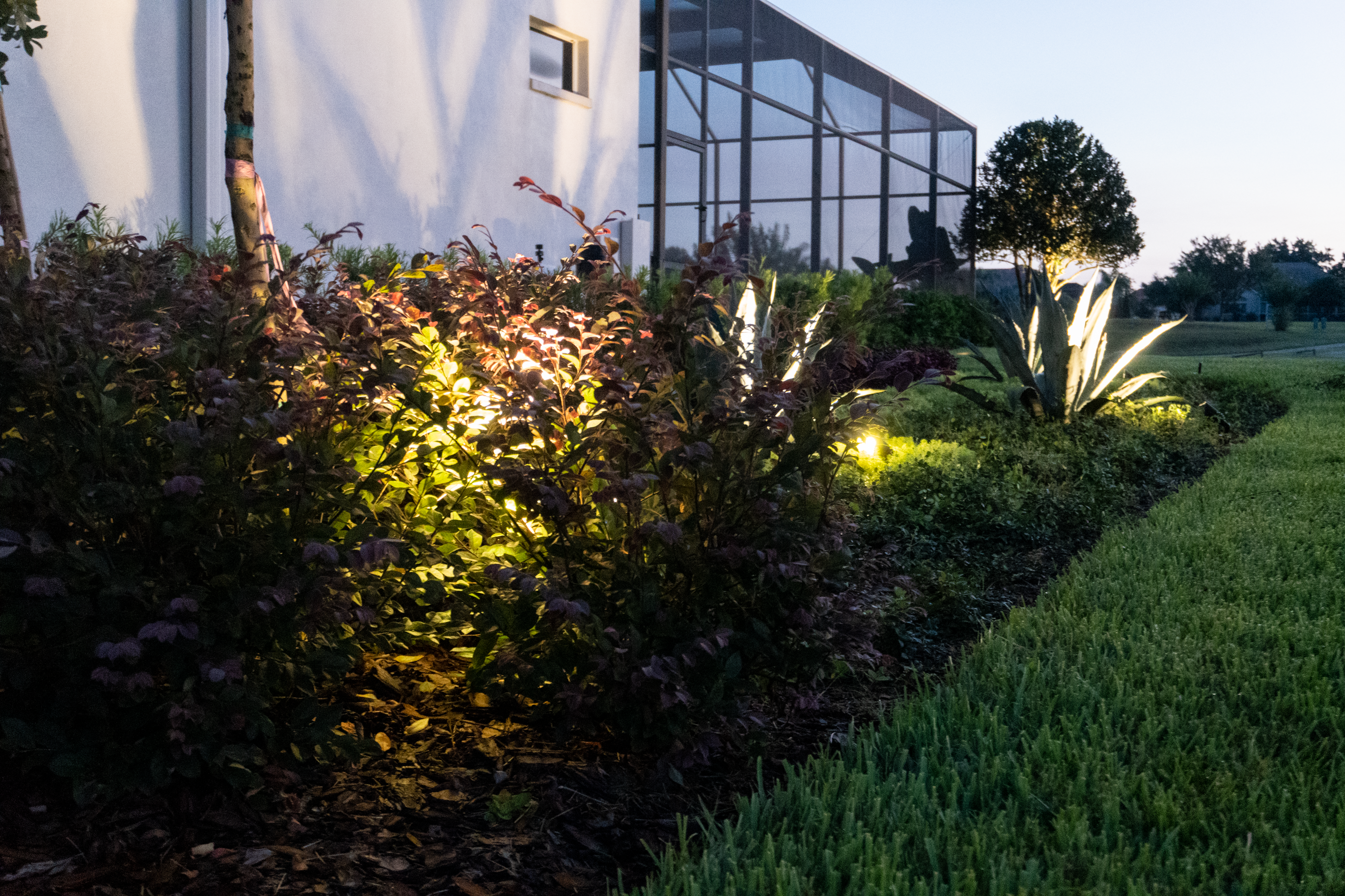 Illuminate Your Tampa Home: The Perfect Blend of Landscape Design and Outdoor Lighting