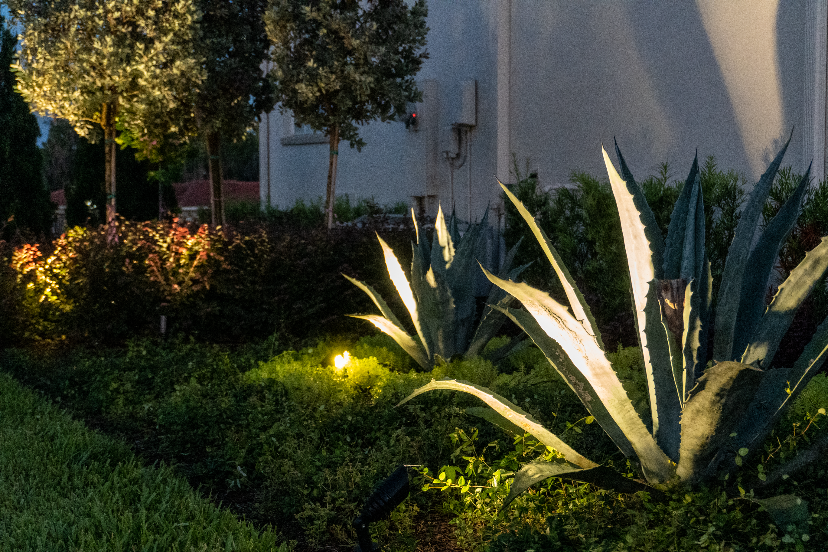 Illuminating Your Tampa Yard with Outdoor Landscape Lighting
